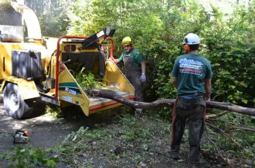 tree services Tarrant